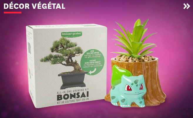 Vases et plantes