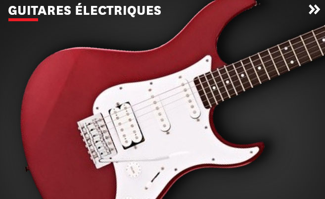 Guitares électriques